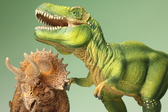 ティラノサウルスとトリケラトプス恐竜フィギュア2体セット（本物化石1個付き）（その16）