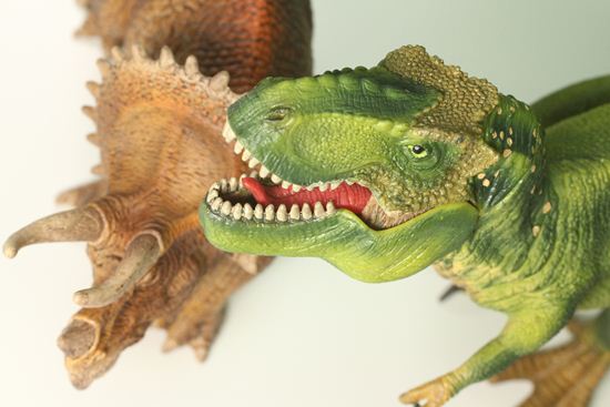 ティラノサウルスとトリケラトプス恐竜フィギュア2体セット（本物化石1個付き）（その19）