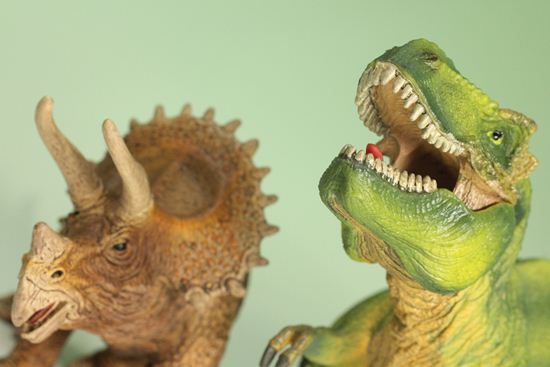 ティラノサウルスとトリケラトプス恐竜フィギュア2体セット（本物化石1個付き）（その4）