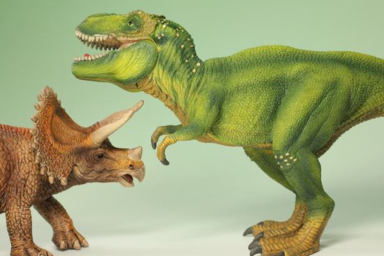 ティラノサウルスとトリケラトプス恐竜フィギュア2体セット（本物化石1個付き）（その5）