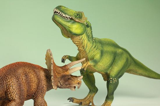 ティラノサウルスとトリケラトプス恐竜フィギュア2体セット（本物化石1個付き）（その6）