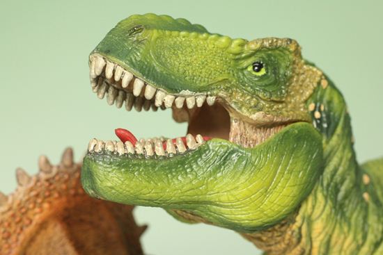 ティラノサウルスとトリケラトプス恐竜フィギュア2体セット（本物化石1個付き）（その8）