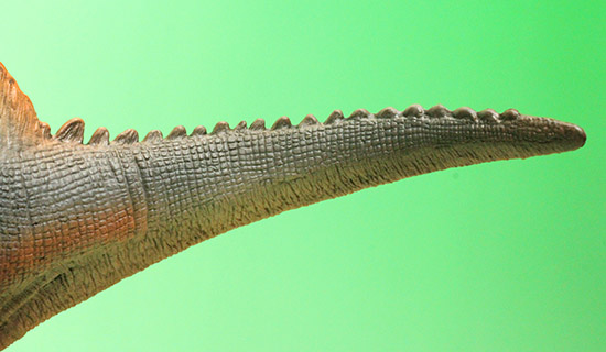 スピノサウルス恐竜フィギュア（本物化石1個付き）（その10）