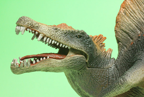 スピノサウルス恐竜フィギュア(本物化石1個付き)(その14)