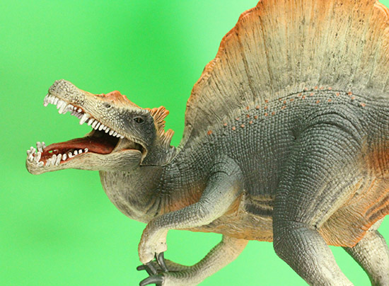 スピノサウルス恐竜フィギュア(本物化石1個付き)(その16)