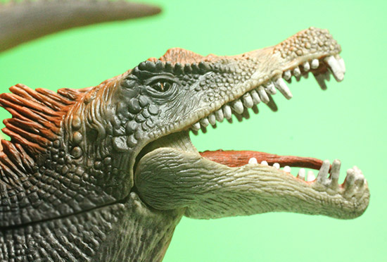 スピノサウルス恐竜フィギュア（本物化石1個付き）（その17）
