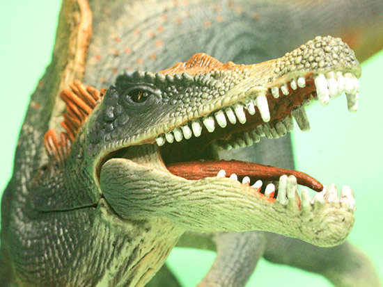 スピノサウルス恐竜フィギュア(本物化石1個付き)(その2)