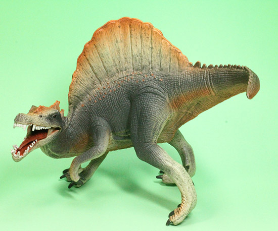 スピノサウルス恐竜フィギュア(本物化石1個付き)(その3)