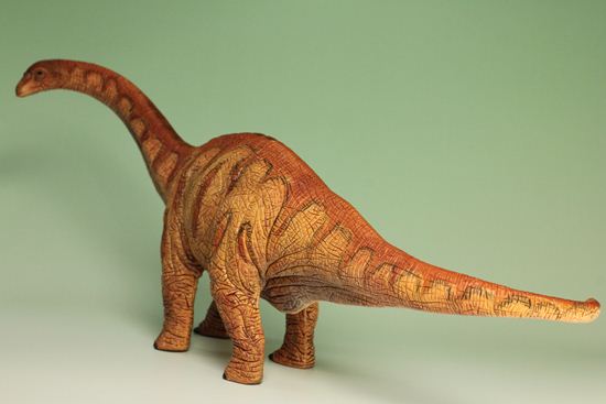 草食恐竜の代表格！アパトサウルス恐竜フィギュア（本物化石1個付き） / 【ot284】（その10）