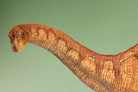 草食恐竜の代表格！アパトサウルス恐竜フィギュア（本物化石1個付き） / 【ot284】（その11）