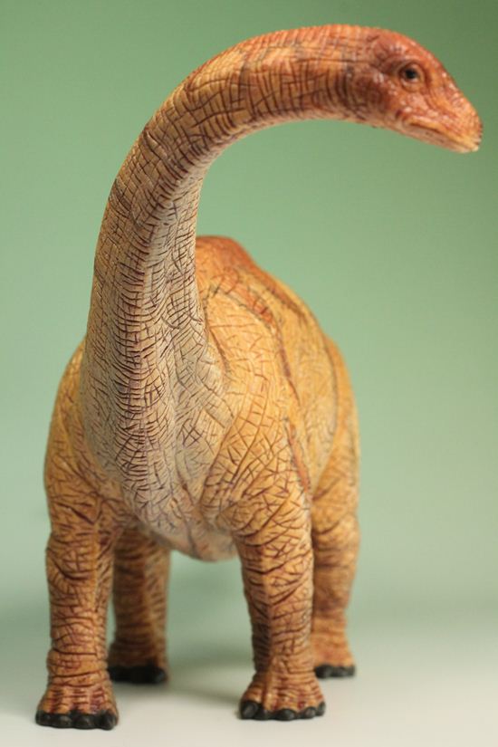 草食恐竜の代表格！アパトサウルス恐竜フィギュア（本物化石1個付き） / 【ot284】（その2）
