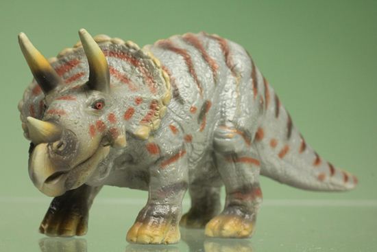 ティラノサウルスとトリケラトプス恐竜ミニフィギュア2体セット(本物化石1個つき)(その10)