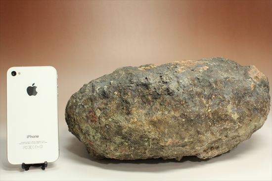 巨大な恐竜のウンチ化石(その10)