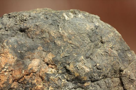 巨大な恐竜のウンチ化石(その6)