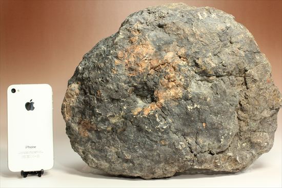 巨大な恐竜のウンチ化石(その9)