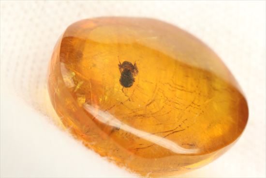 ドロップのようなまあるい形が特徴、虫入り琥珀(Amber)（その14）
