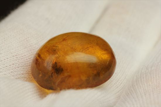 ドロップのようなまあるい形が特徴、虫入り琥珀(Amber)（その2）