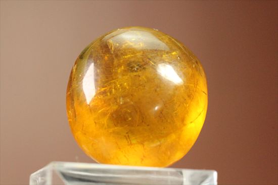 ドロップのようなまあるい形が特徴、虫入り琥珀(Amber)(その3)