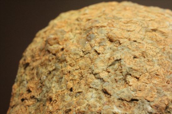 恐竜のウンチ化石、コプロライト(Coprolite)片面ポリッシュされています。(その10)