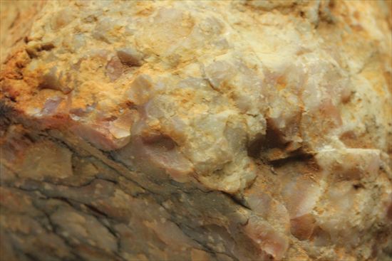 恐竜のウンチ化石、コプロライト(Coprolite)片面ポリッシュされています。(その12)