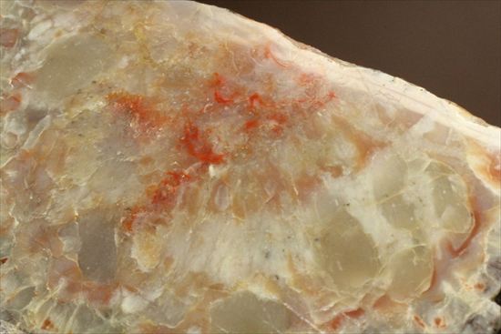 恐竜のウンチ化石、コプロライト(Coprolite)片面ポリッシュされています。(その5)