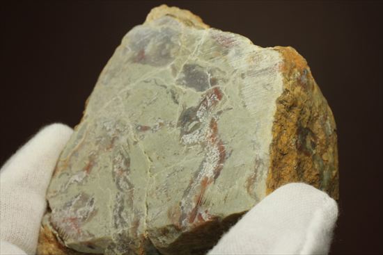 恐竜のウンチ化石コプロライト(Coprolite)（その5）