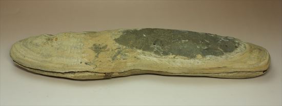 レア＆格安！母岩含め最大長４２ｃｍ/３５００gオーバー！ブラジル産ネガポジ魚化石（２枚あります）（その9）