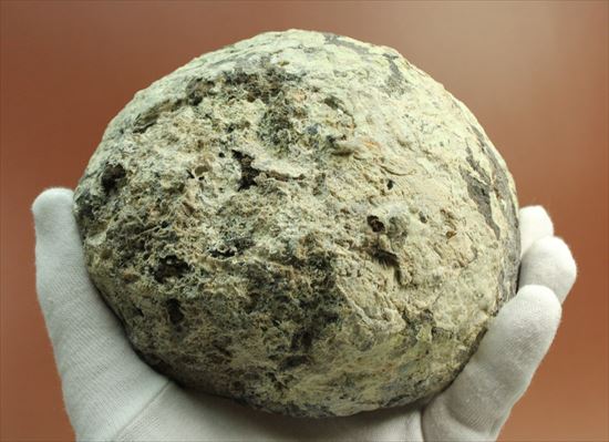 鉱物メノウの晶洞の標本（その11）