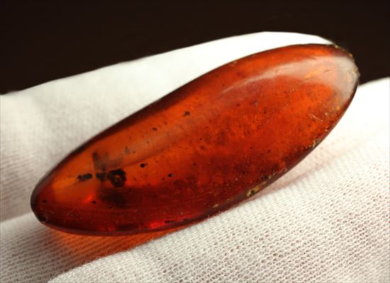 ドミニカ産の虫入り琥珀(その12)