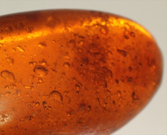 ドミニカ産の虫入り琥珀(その3)