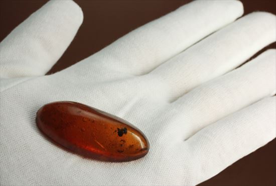 ドミニカ産の虫入り琥珀(その5)