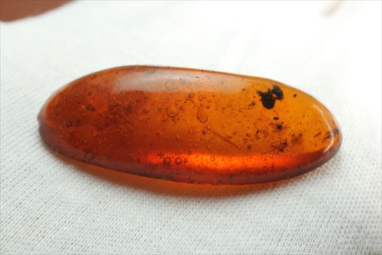 ドミニカ産の虫入り琥珀(その6)
