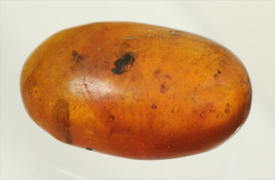 ドロップ飴にそっくりですが、琥珀です。ドミニカ産の虫入り琥珀(Amber)(その1)