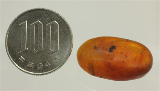 ドロップ飴にそっくりですが、琥珀です。ドミニカ産の虫入り琥珀(Amber)(その12)