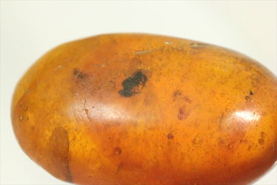 ドロップ飴にそっくりですが、琥珀です。ドミニカ産の虫入り琥珀(Amber)(その2)