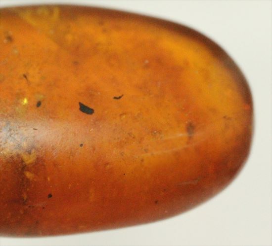ドロップ飴にそっくりですが、琥珀です。ドミニカ産の虫入り琥珀(Amber)(その3)
