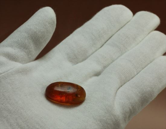 ドロップ飴にそっくりですが、琥珀です。ドミニカ産の虫入り琥珀(Amber)(その5)