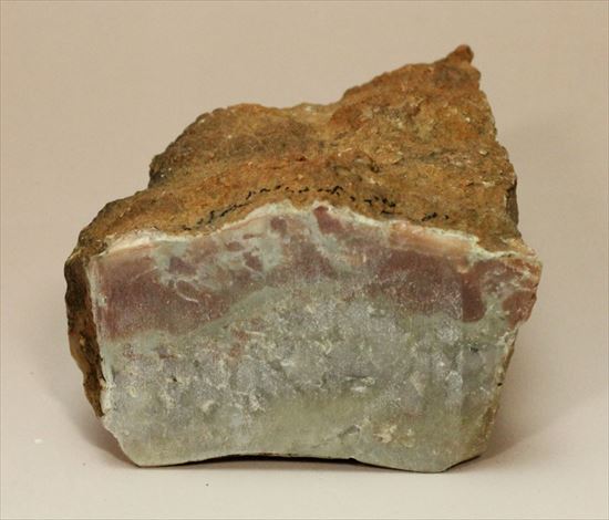 恐竜のウンチ化石（coprolite）（その1）
