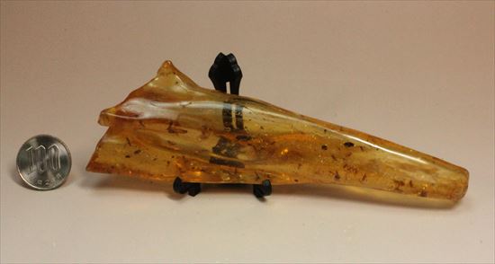 大きくて面白い形マダガスカル産コーパル(約100万年前の樹液の化石)(その12)