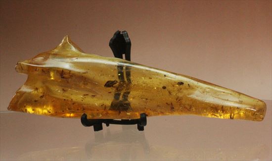 大きくて面白い形マダガスカル産コーパル(約100万年前の樹液の化石)(その6)