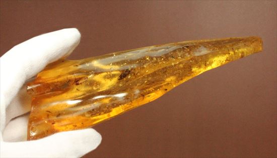 大きくて面白い形マダガスカル産コーパル(約100万年前の樹液の化石)(その9)