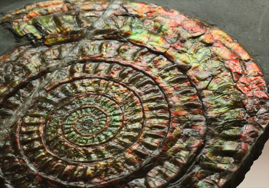 発色非常に強く濃いイリデッセンスを有するイングランド産カロセラス(その18)