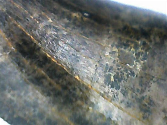 グッドルッキングトゥース!白亜紀小型肉食恐竜ドロマエオサウルスの歯(Dromaeaosaur tooth)(その10)