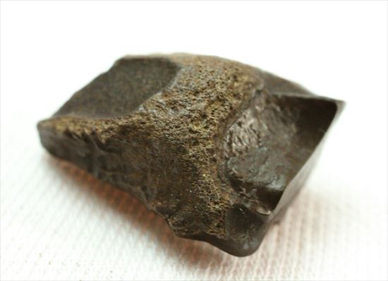 最期の角竜と称されるトリケラトプスの歯化石(Triceratops tooth)（その5）