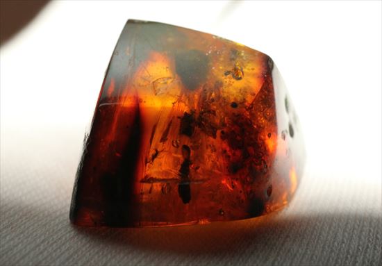 古代の空気が内包！大ぶりドミニカ産琥珀(Amber)（その6）