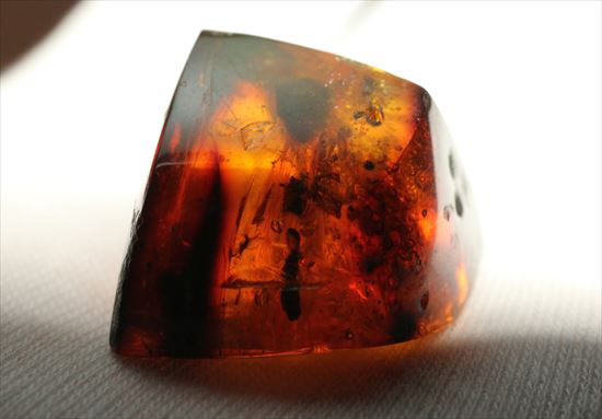 古代の空気が内包!大ぶりドミニカ産琥珀(Amber)(その6)