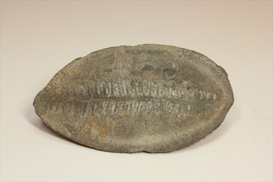 パカッと割ると、そこには古代の植物化石(ノジュール標本)(その4)