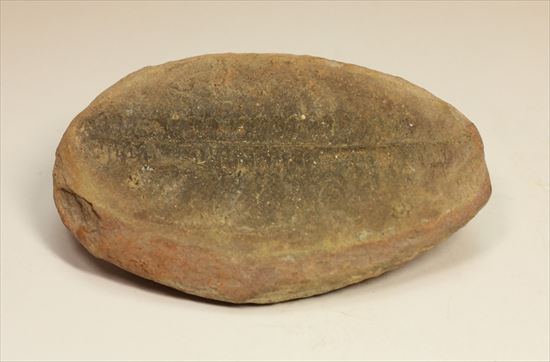 ビックリ系化石。ぱかっと割ったら古代のシダが!植物化石のノジュール標本(その5)