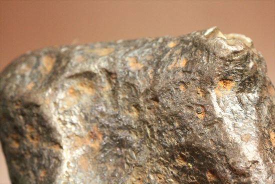 鉄隕石を代表するアルゼンチンに落ちた隕石カンポ・デル・シエロ(Campo del Cielo Meteorite)（その8）