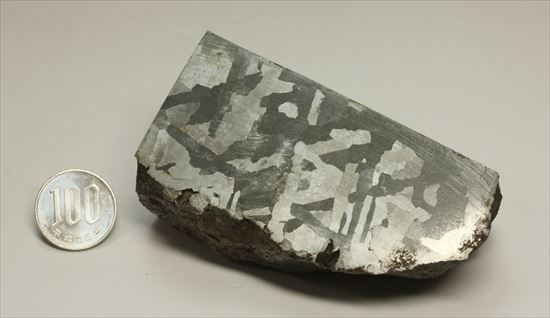 鉄隕石の代表格、中身丸見えの隕石カンポ・デル・シエロ(Campo del Cielo Meteorite)（その13）